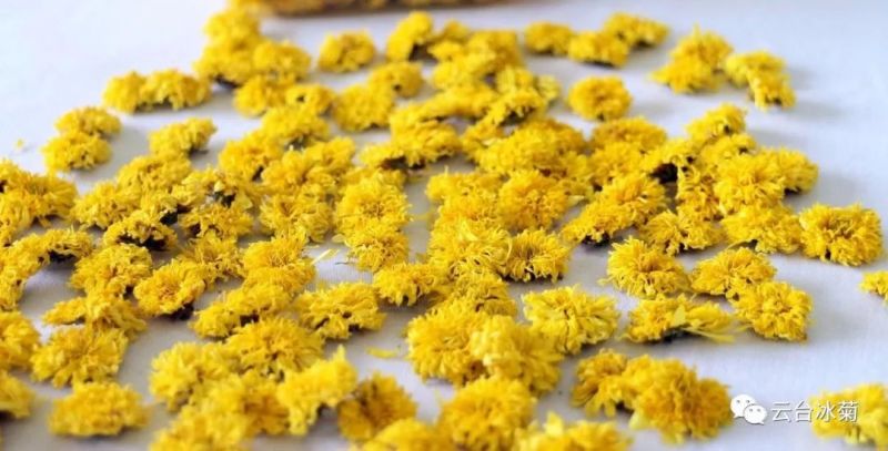 2018，種下希望，靜待花開！